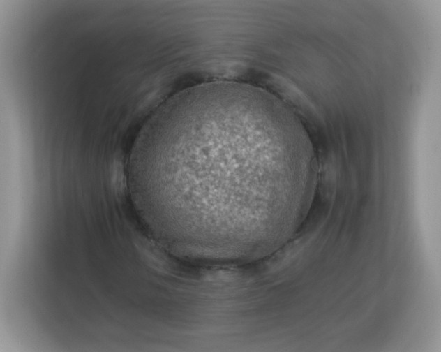 X0000113311058200909281120