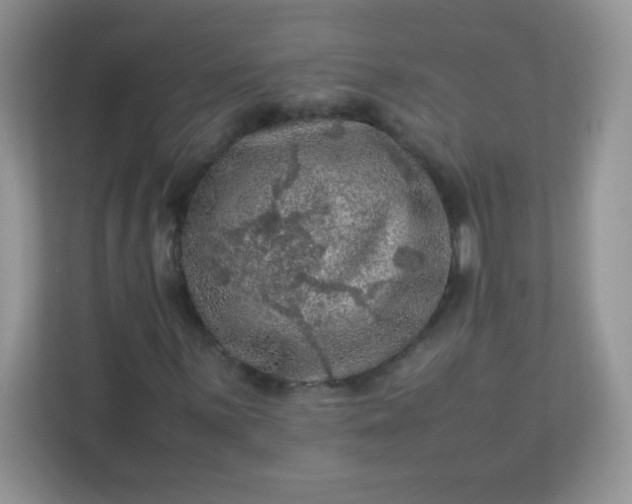 X0000113311059200909281120