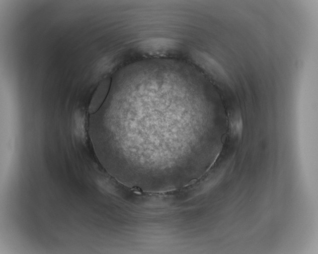 X0000113311060200909281120