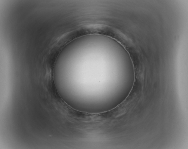 X0000113311061200909281120