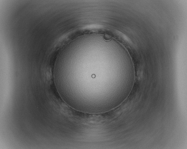 X0000113311062200909281120