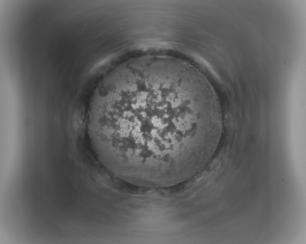 X0000113311063200909281120