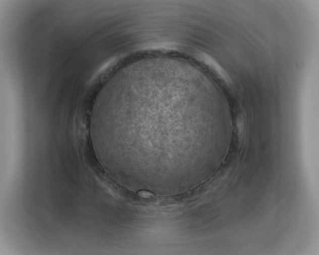 X0000113311064200909281120