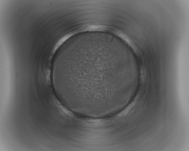 X0000113311066200909281120