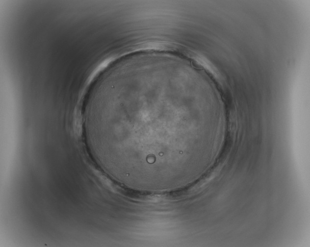 X0000113311067200909281120