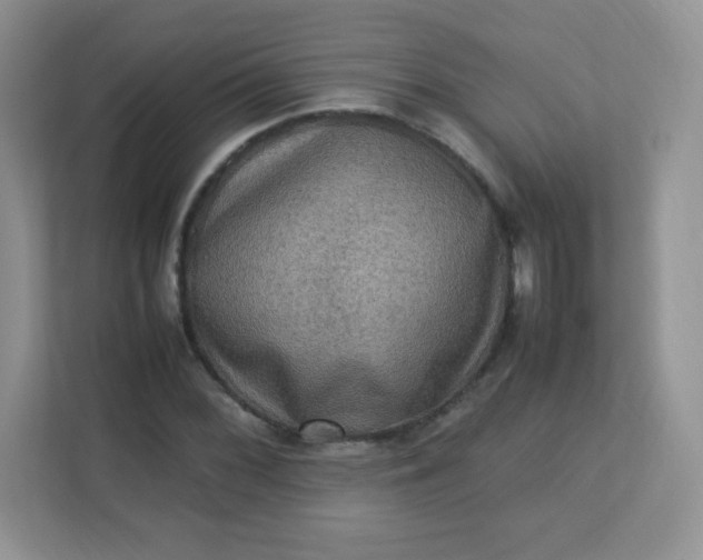 X0000113311068200909281120