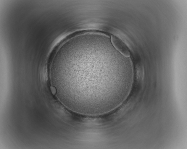 X0000113311069200909281120