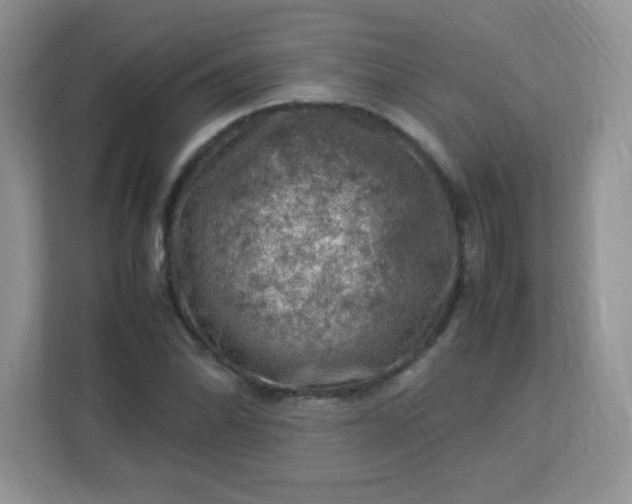 X0000113311070200909281120