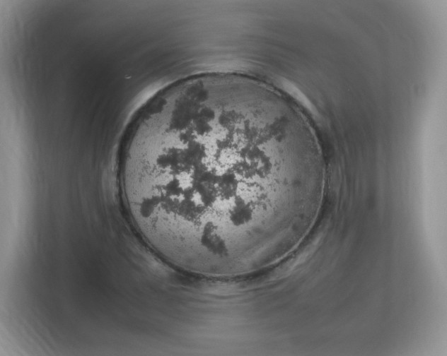 X0000113311071200909281120