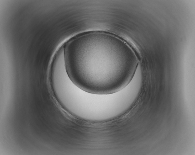 X0000113311072200909281120