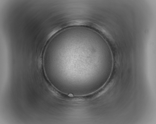 X0000113311073200909281120