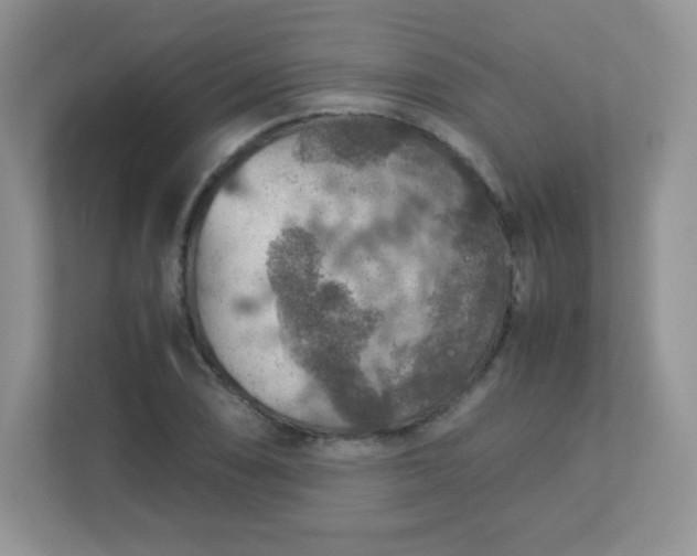 X0000113311074200909281120