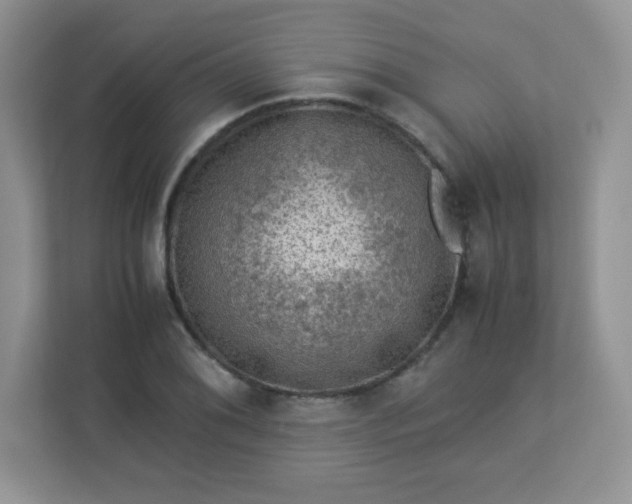 X0000113311076200909281120