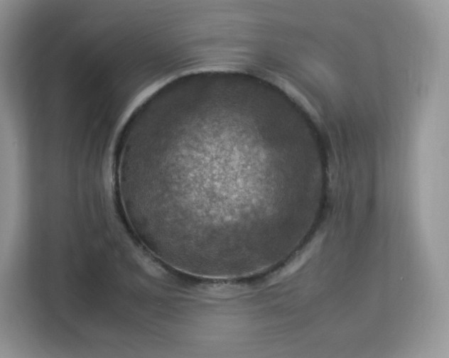 X0000113311077200909281120