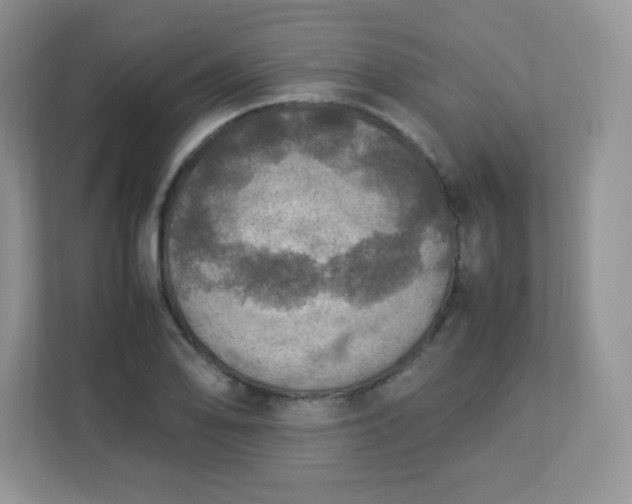 X0000113311078200909281120