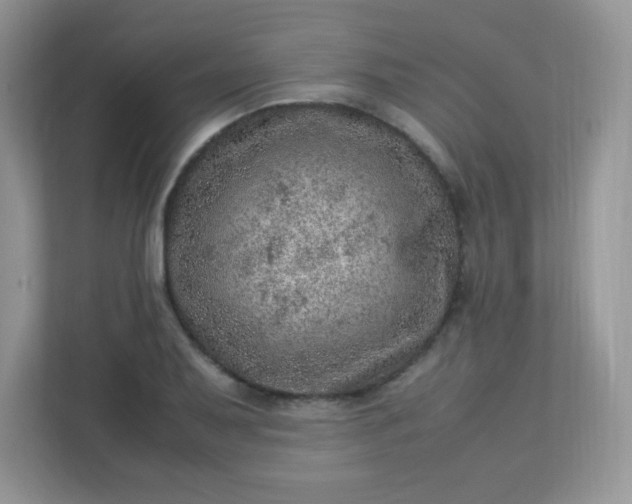 X0000113311079200909281120