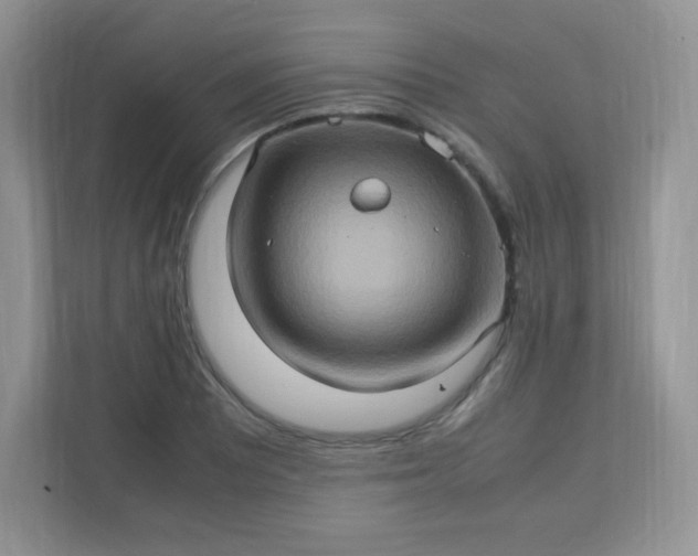 X0000113311081200909281120