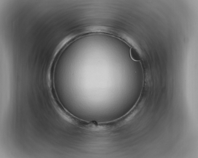 X0000113311082200909281120