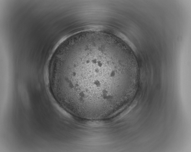 X0000113311083200909281120