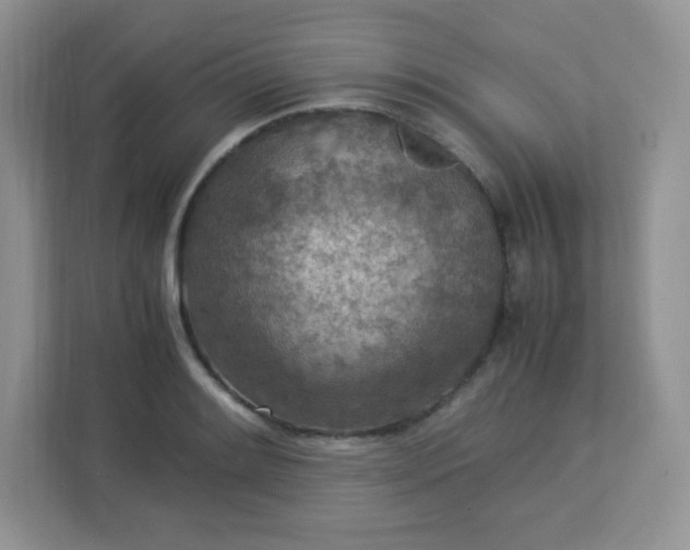 X0000113311084200909281120