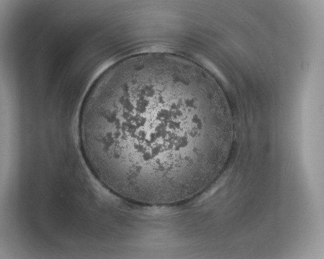 X0000113311087200909281120