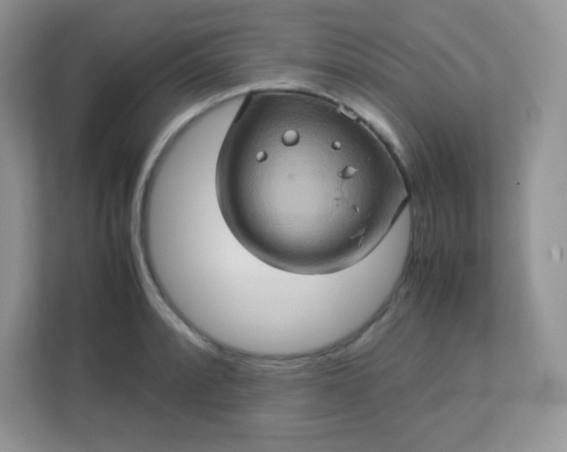 X0000113311088200909281120