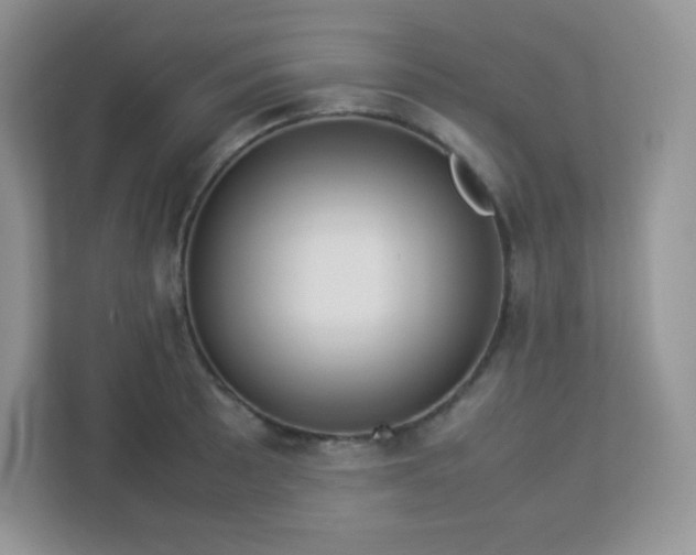 X0000113311089200909281120