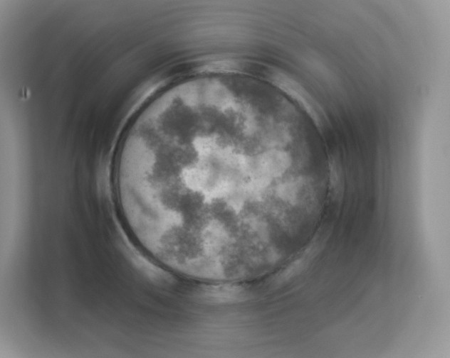 X0000113311090200909281119