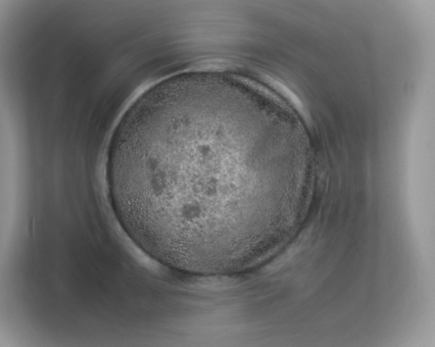 X0000113311091200909281119