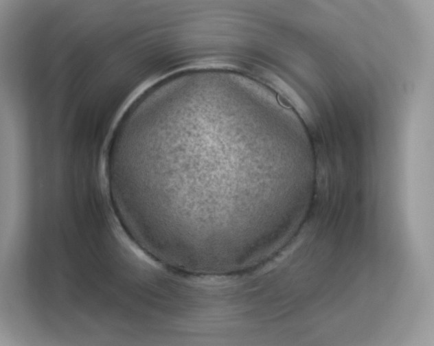 X0000113311092200909281119