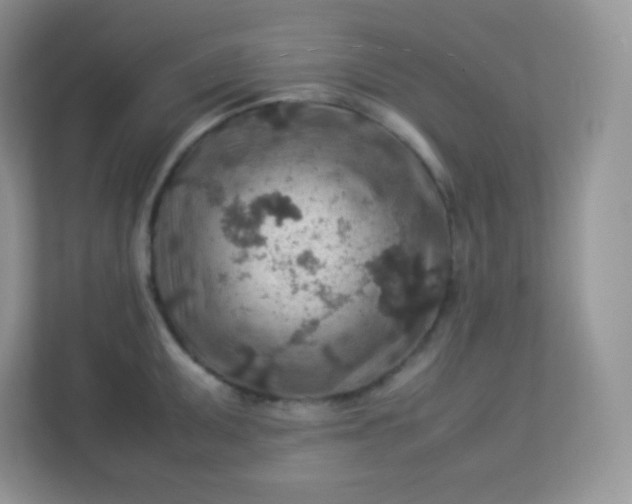 X0000113311095200909281119