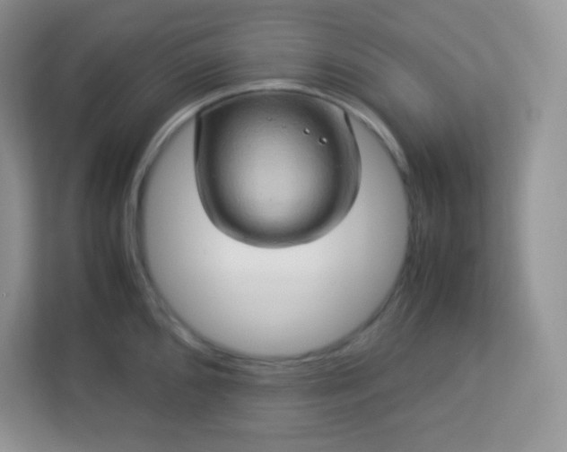 X0000113311096200909281119