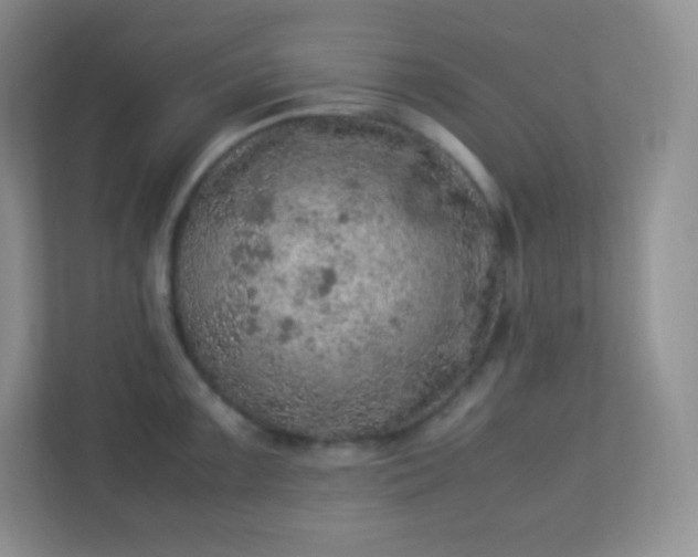 X0000113311099200909281119