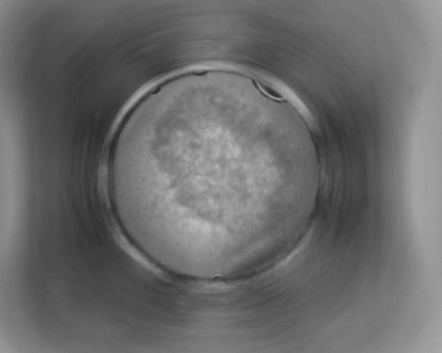 X0000113311100200909281119