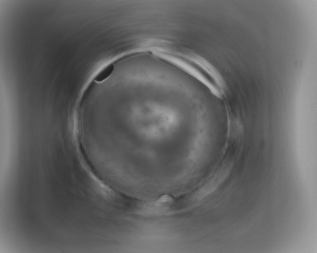 X0000113311101200909281119