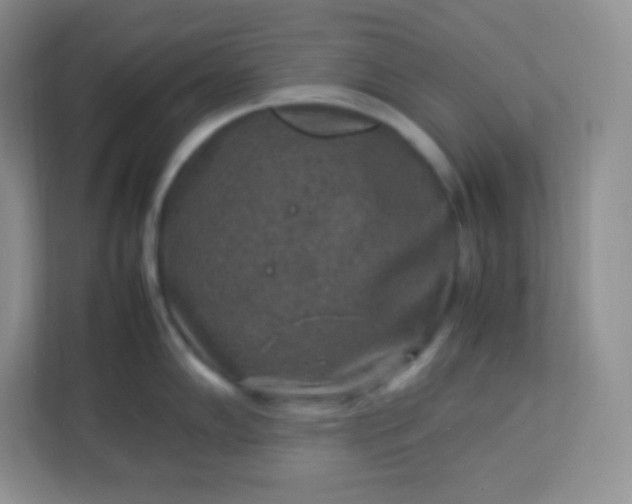 X0000113311102200909281119