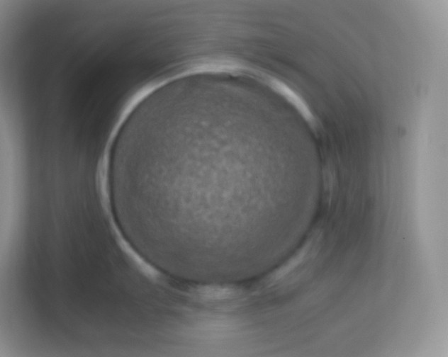 X0000113311103200909281119