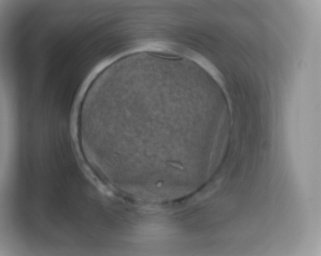 X0000113311104200909281119