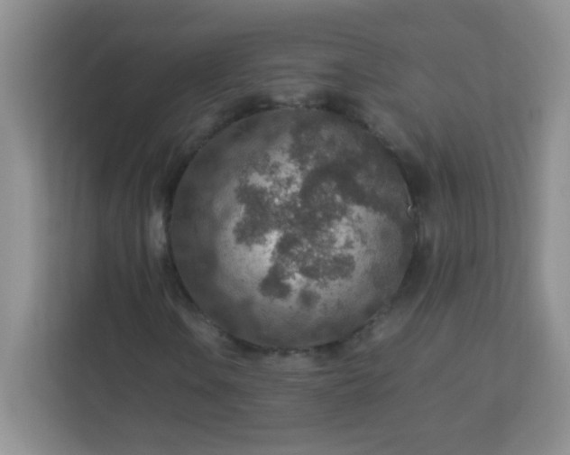 X0000113311106200909281119