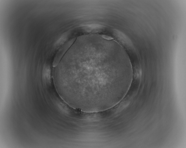 X0000113311108200909281119