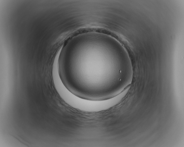 X0000113311110200909281119