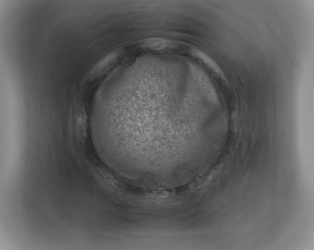 X0000113311111200909281119