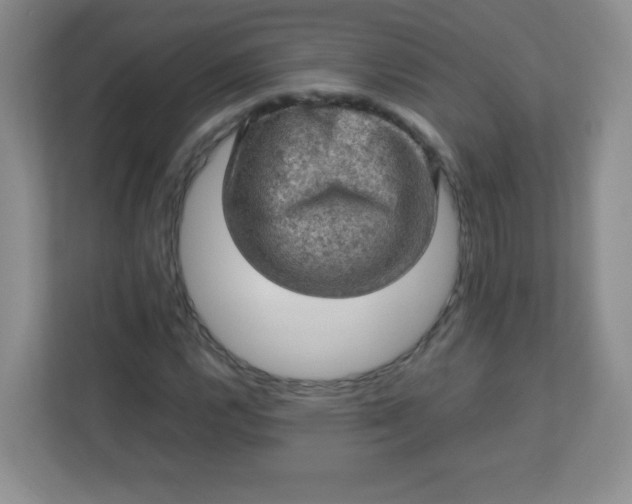 X0000113311112200909281119