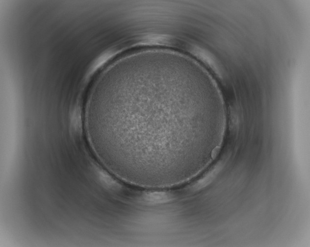 X0000113311114200909281119