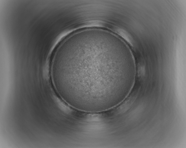 X0000113311116200909281119