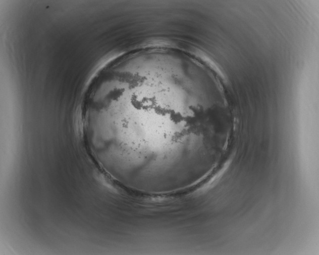 X0000113311117200909281119