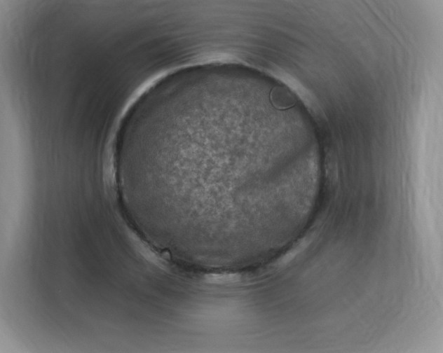 X0000113311118200909281119