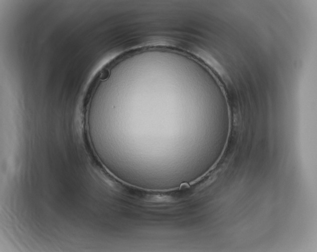 X0000113311119200909281119