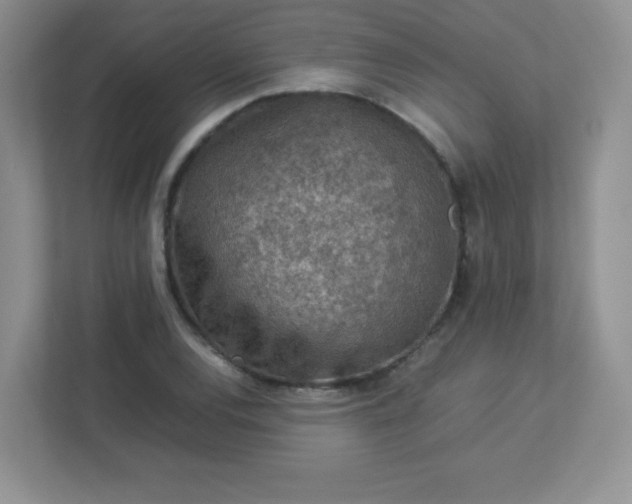 X0000113311120200909281119