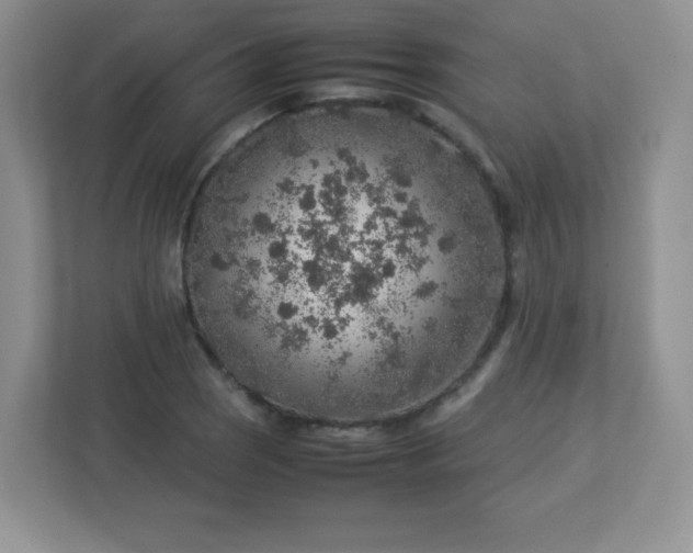 X0000113311121200909281119